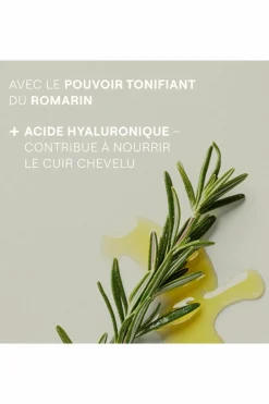 Best Weleda Shampooing revitalisant au romarin