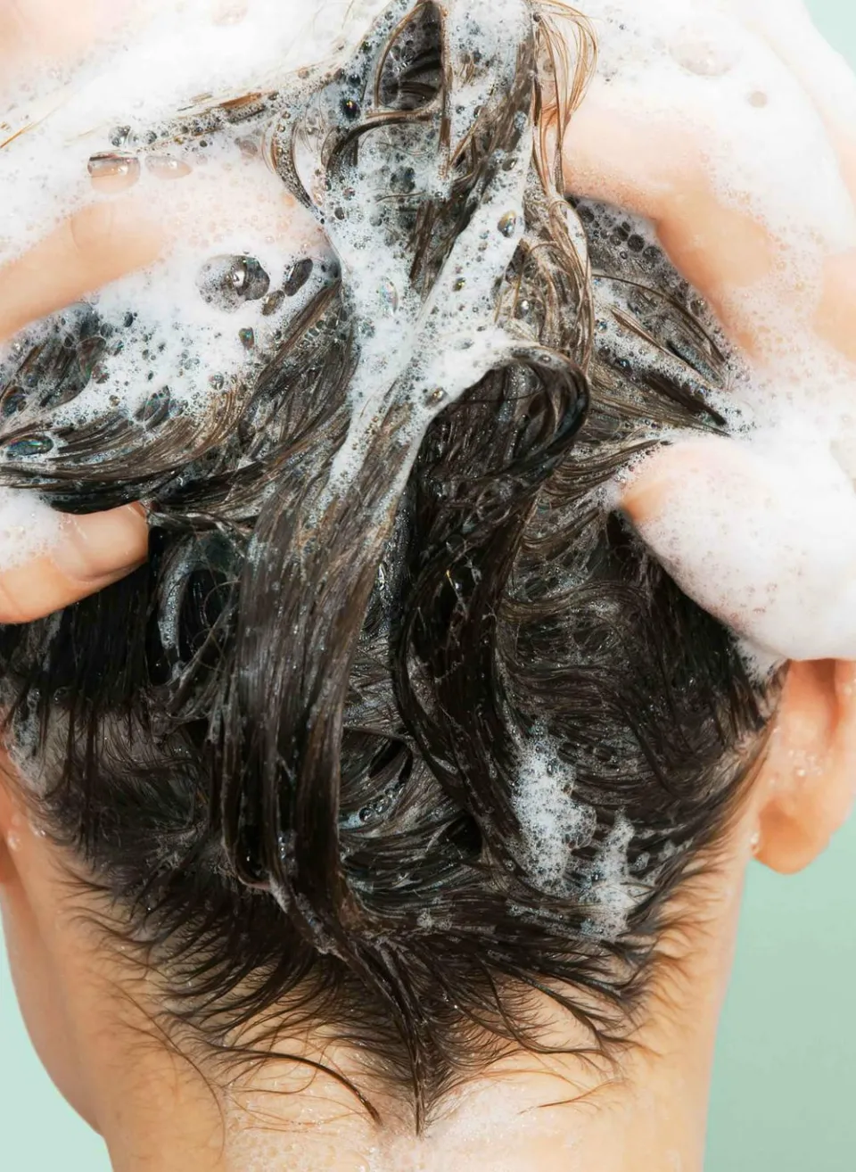 Best Clarins Shampooing solide nourrissant