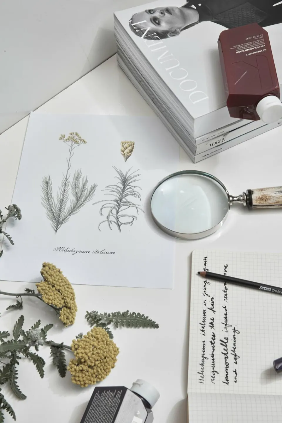 New KEVIN.MURPHY Sérum Huile régénérante à l’immortelle YOUNG.AGAIN.SERUM