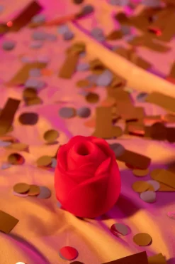 Hot Lovehoney mon ami Stimulateur clitoridien succion Rose