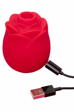 Hot Lovehoney mon ami Stimulateur clitoridien succion Rose