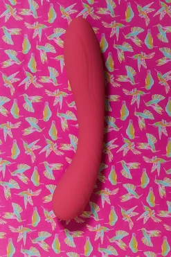 Clearance Wellness Vibromasseur point G